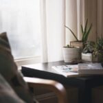 home, house, interior, design, living, bedroom, side, table, ceramic, pots, potted, plants, nature, cactus, aloe